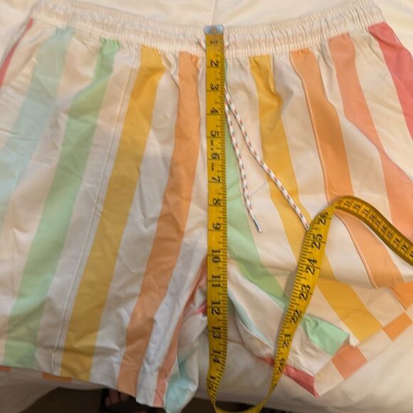 Chubbies Abstract Pastel Vertical Stripe Swim Shorts Trunks Men’s, Size XL, 5.5” - Picture 10 of 11